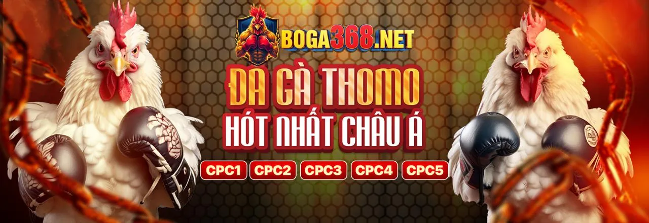 Sân đấu đá gà trực tuyến sôi động tại 88clup đăng ký